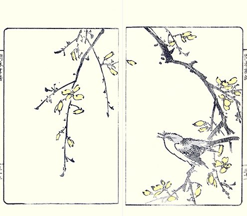 photo10.jpg