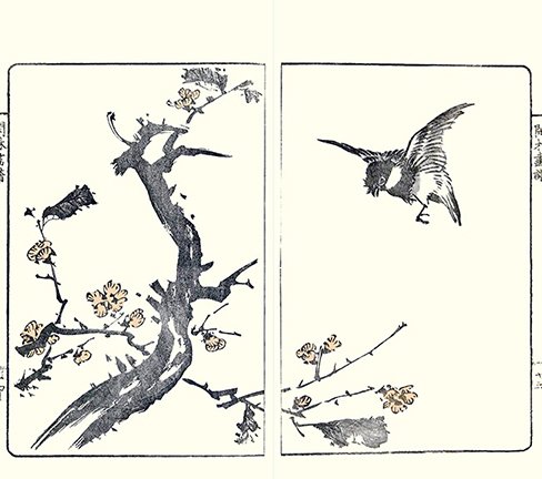 photo7.jpg