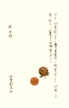 photo16.jpg