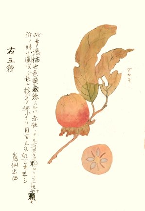 photo6.jpg
