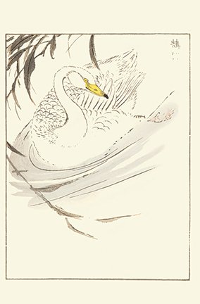 photo4.jpg