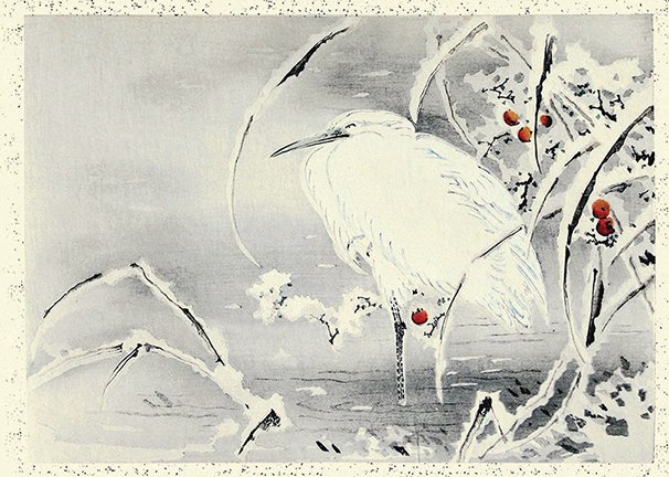 photo9.jpg