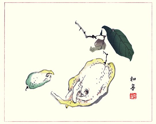 photo27.jpg