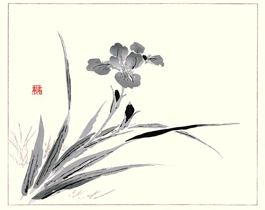 photo30.jpg