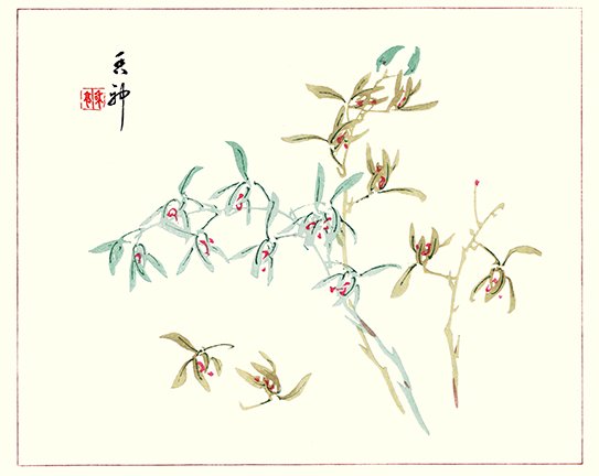 photo31.jpg