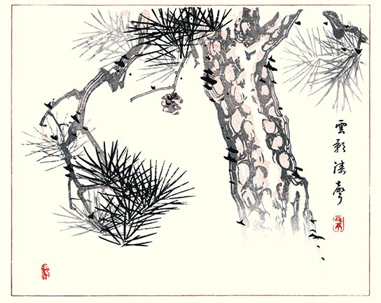 photo8.jpg