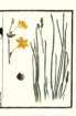photo11_small.jpg