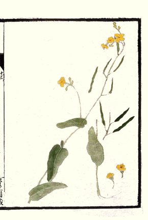 photo13.jpg