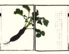 photo14_small.jpg