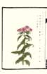 photo16_small.jpg