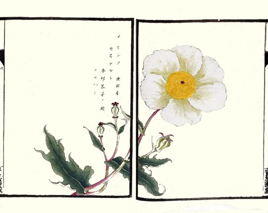 photo21.jpg