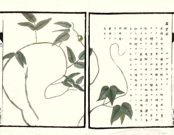 photo23.jpg
