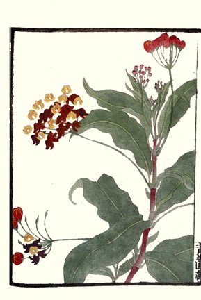 photo26.jpg