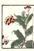 photo26_small.jpg