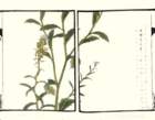 photo36_small.jpg