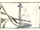 photo41_small.jpg