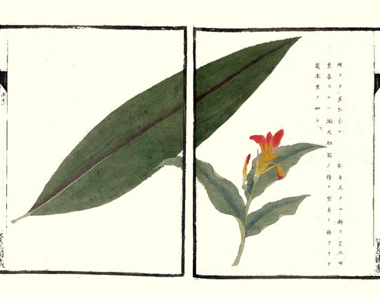 photo43.jpg