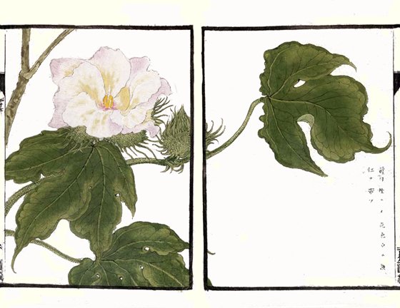 photo49.jpg