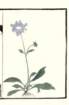 photo_small.jpg