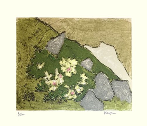 photo11.jpg