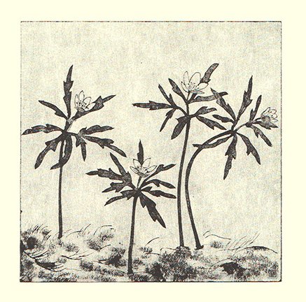photo28.jpg