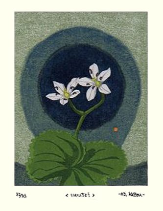 photo14.jpg