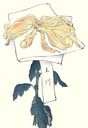 photo17.jpg