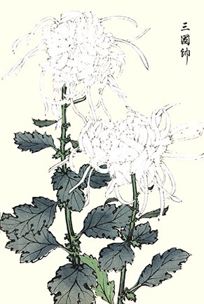 photo28.jpg