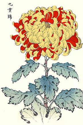 photo31.jpg