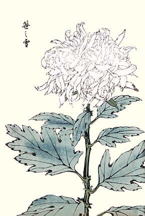 photo49.jpg