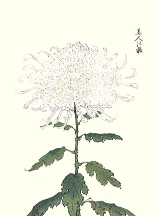 photo56.jpg