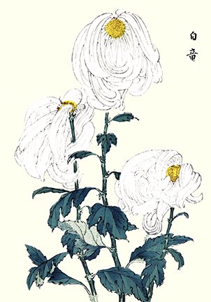 photo7.jpg