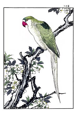 photo16.jpg