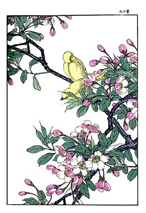 photo19.jpg