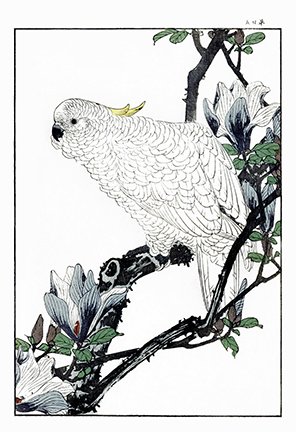 photo25.jpg