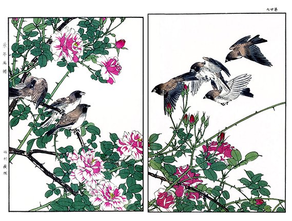 photo27.jpg