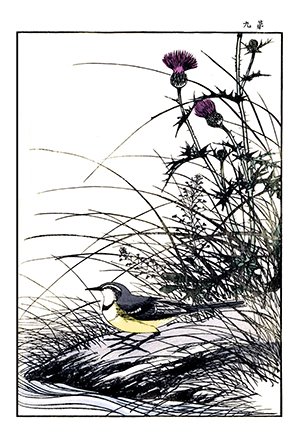 photo40.jpg