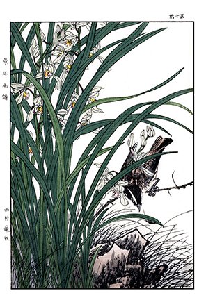 photo43.jpg
