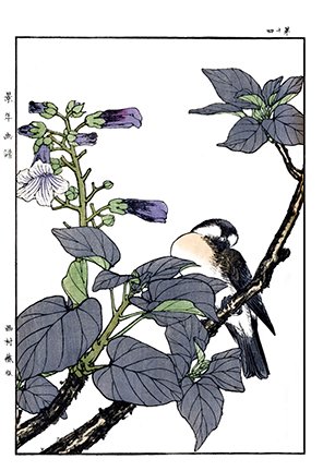 photo45.jpg
