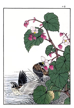 photo73.jpg