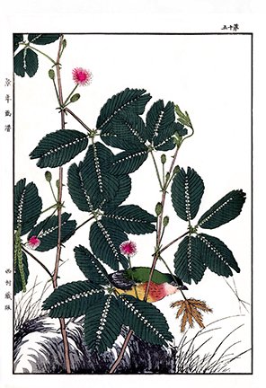 photo78.jpg