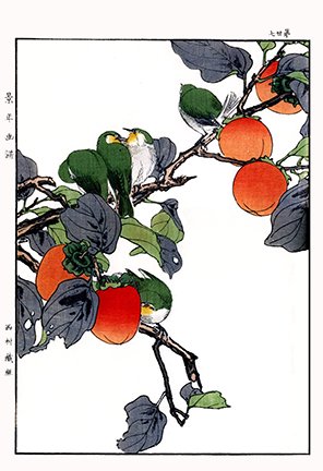photo90.jpg
