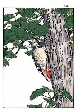 photo96.jpg