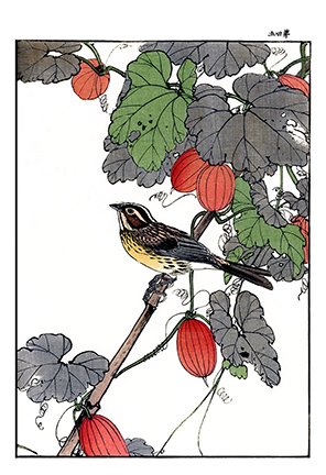 photo98.jpg