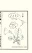 photo10_small.jpg