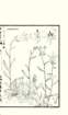 photo14_small.jpg