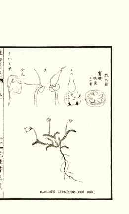 photo16.jpg