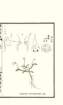 photo16_small.jpg