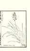 photo18_small.jpg