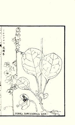 photo23.jpg